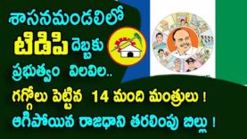 Excellent sketch for TDP in Legislative council