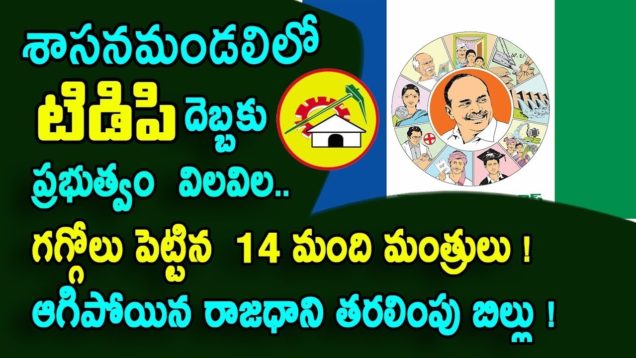 Excellent sketch for TDP in Legislative council