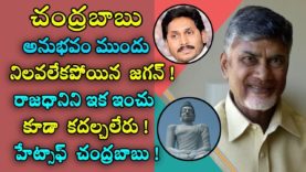 Jagan cannot stand before the experience of Chandrababu