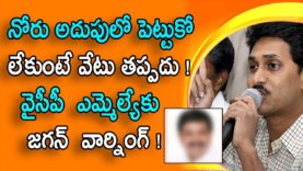 Jagan gave warning to his own party MLA?