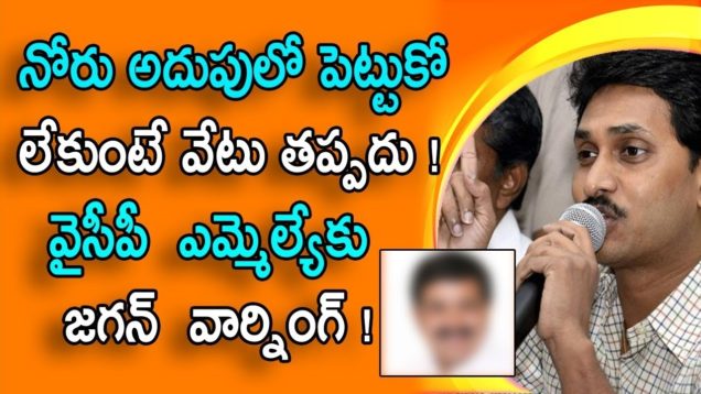 Jagan gave warning to his own party MLA?