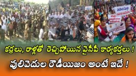 YCP activists enraged with sticks and stones