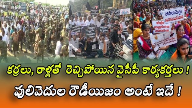YCP activists enraged with sticks and stones