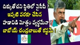 YCP in a state of disorientation