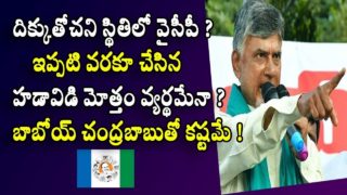 YCP in a state of disorientation