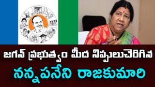 Nannapaneni Rajakumari shocking comments on Jagan government